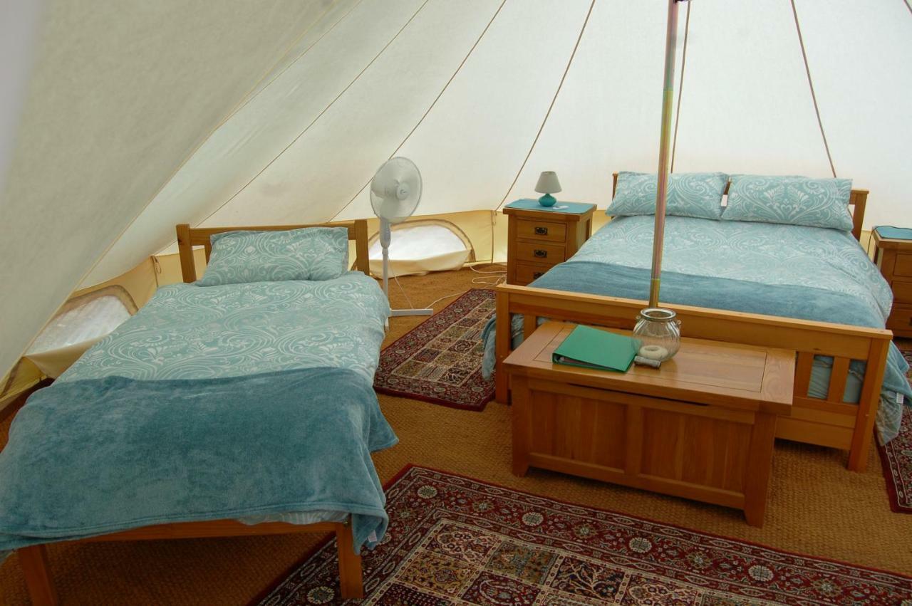 Camping La Foret De Tesse Zewnętrze zdjęcie